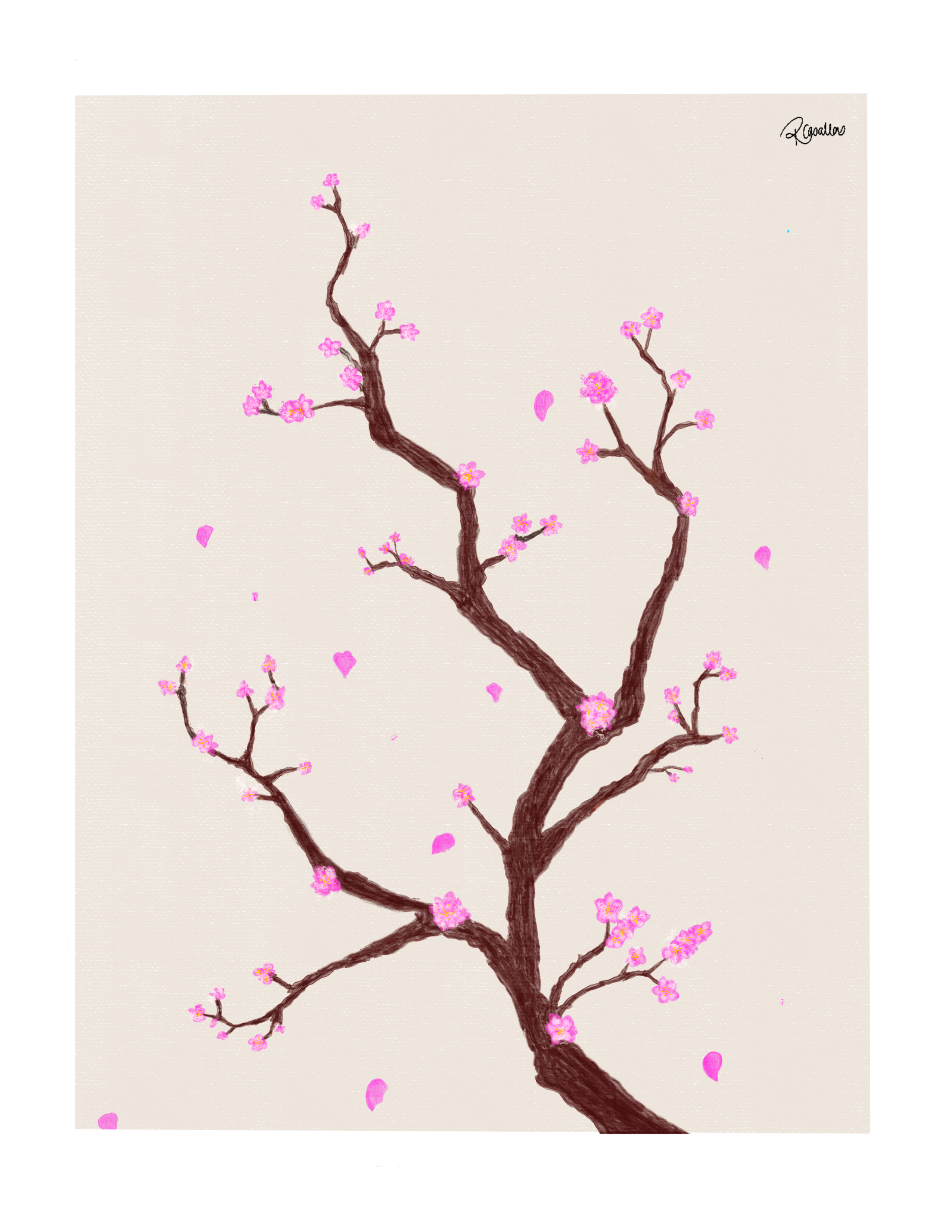 Petals of Sakura