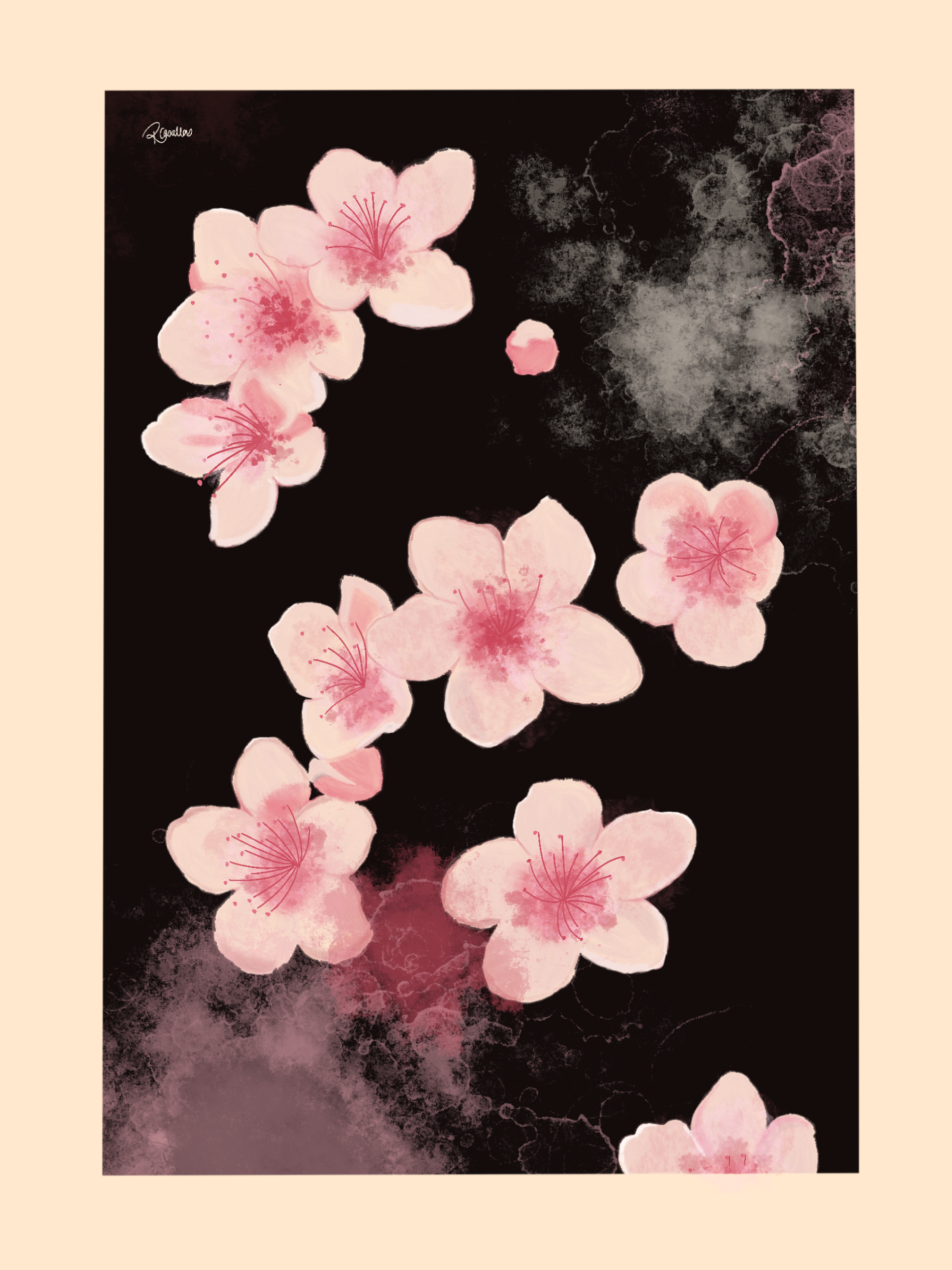 Midnight Sakura